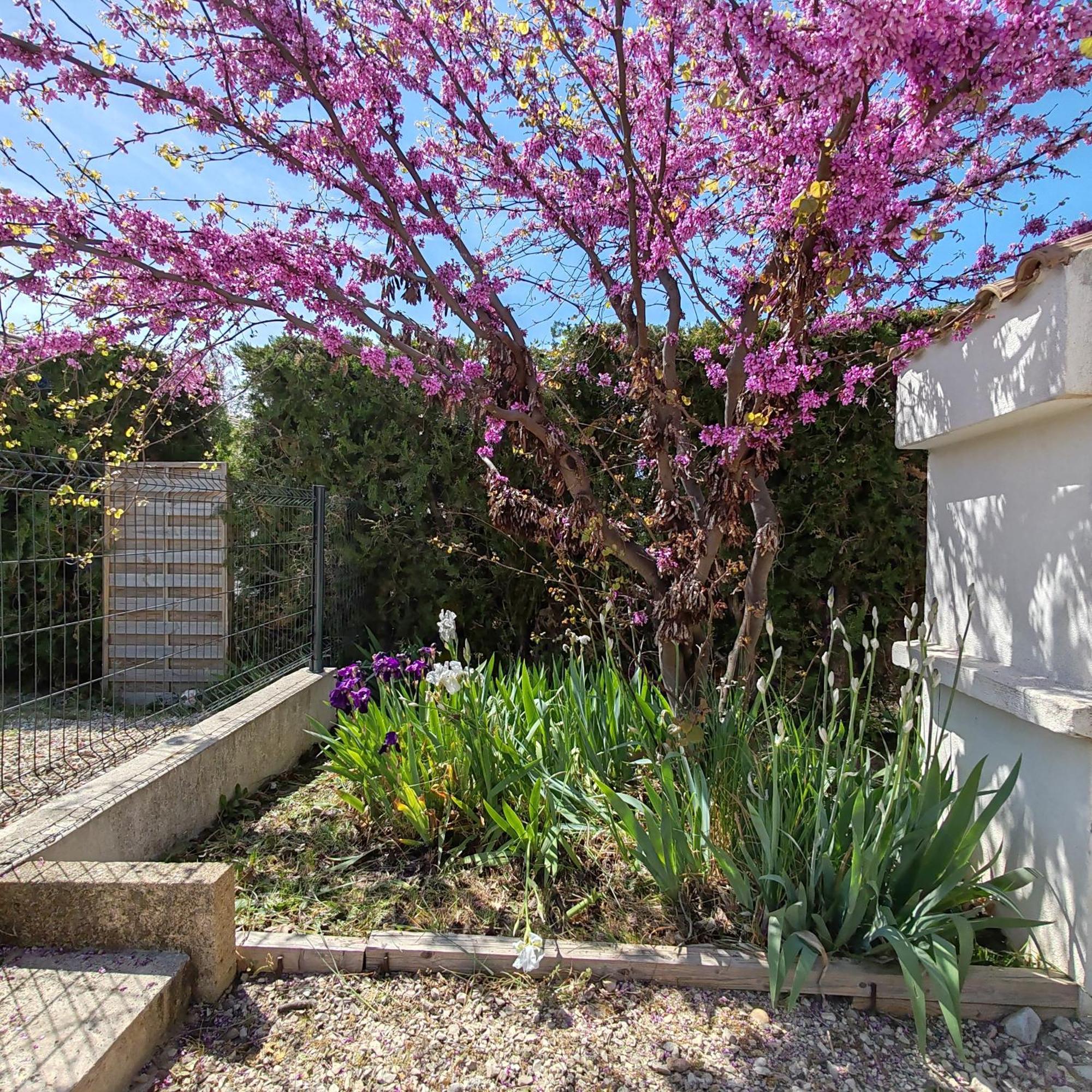 La Maison De Celine Holiday home Beaumes-de-Venise